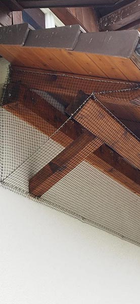 Vogelschutznetz-Kleinmaschig-komprimiert - Taubenabwehr